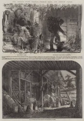 El tratado con Francia, trapos franceses y papel francés